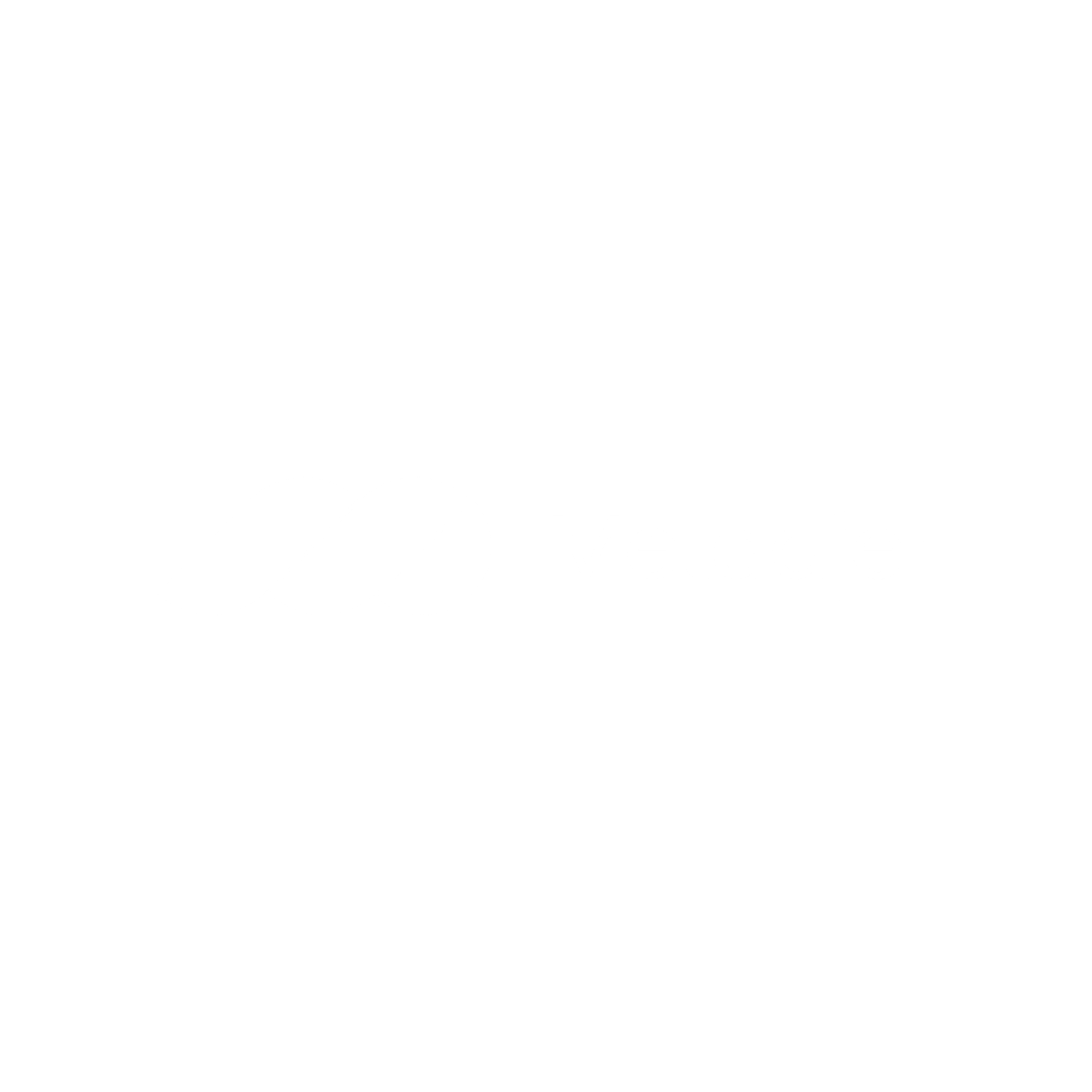 Metaajer